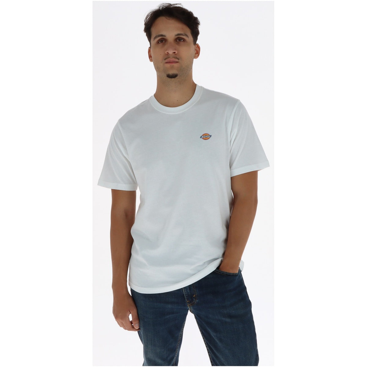 Dickies - T-Shirt Herren