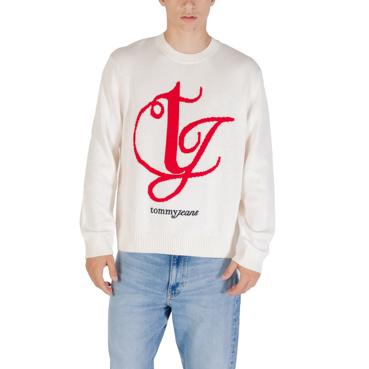 Tommy Hilfiger Jeans -  Pullover Herren