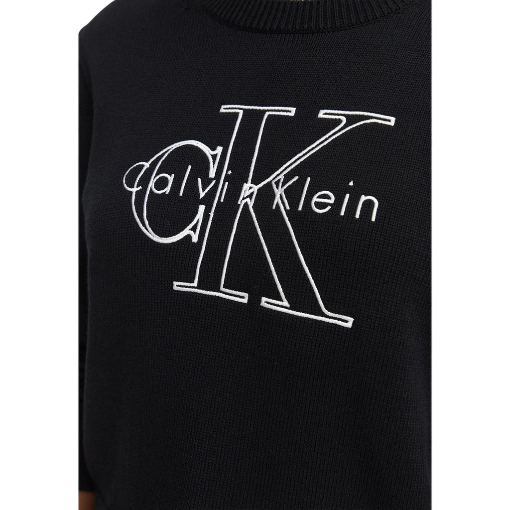 Calvin Klein Jeans - Pullover Damen