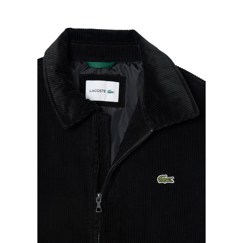 Lacoste -  Sakko Herren