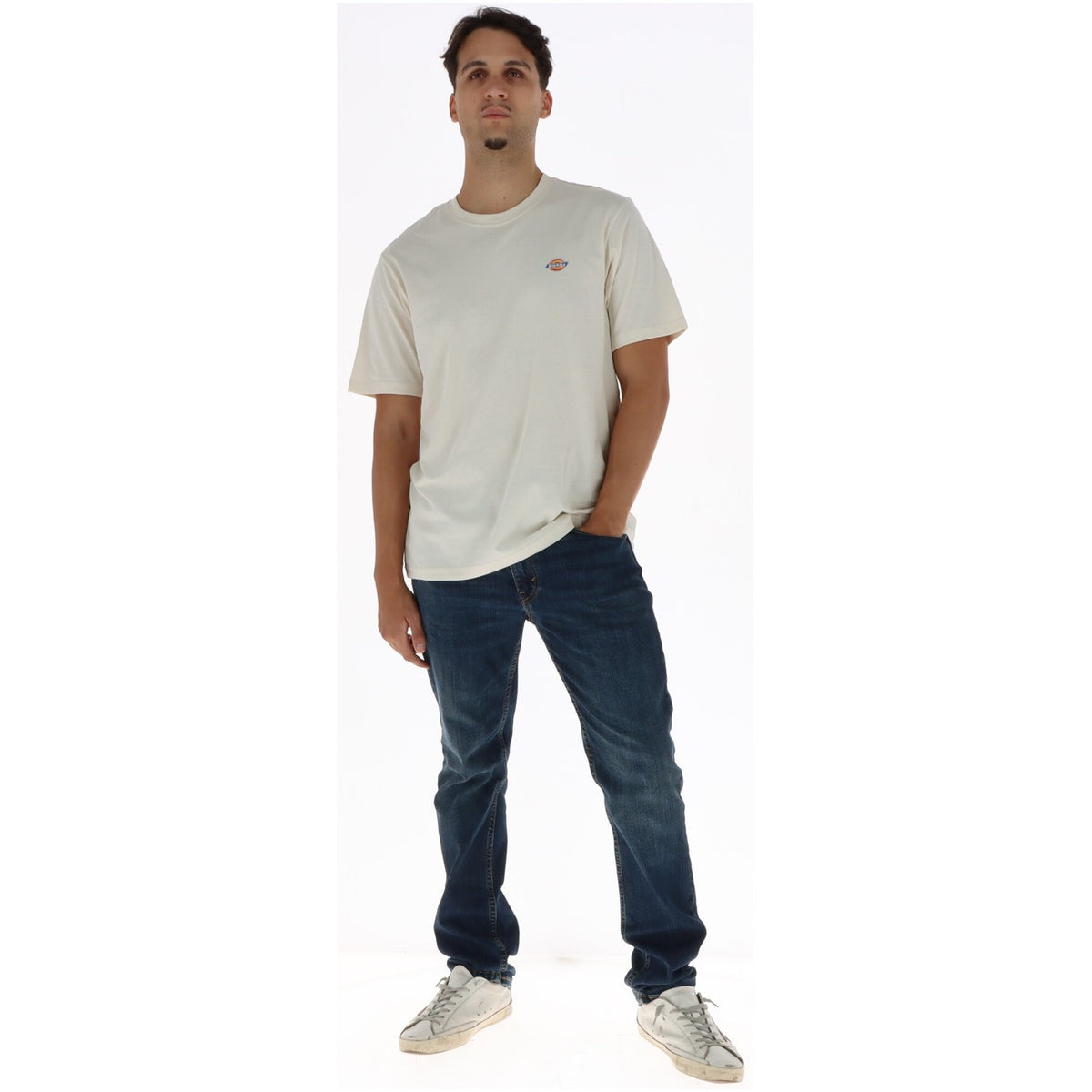 Dickies - T-Shirt Herren