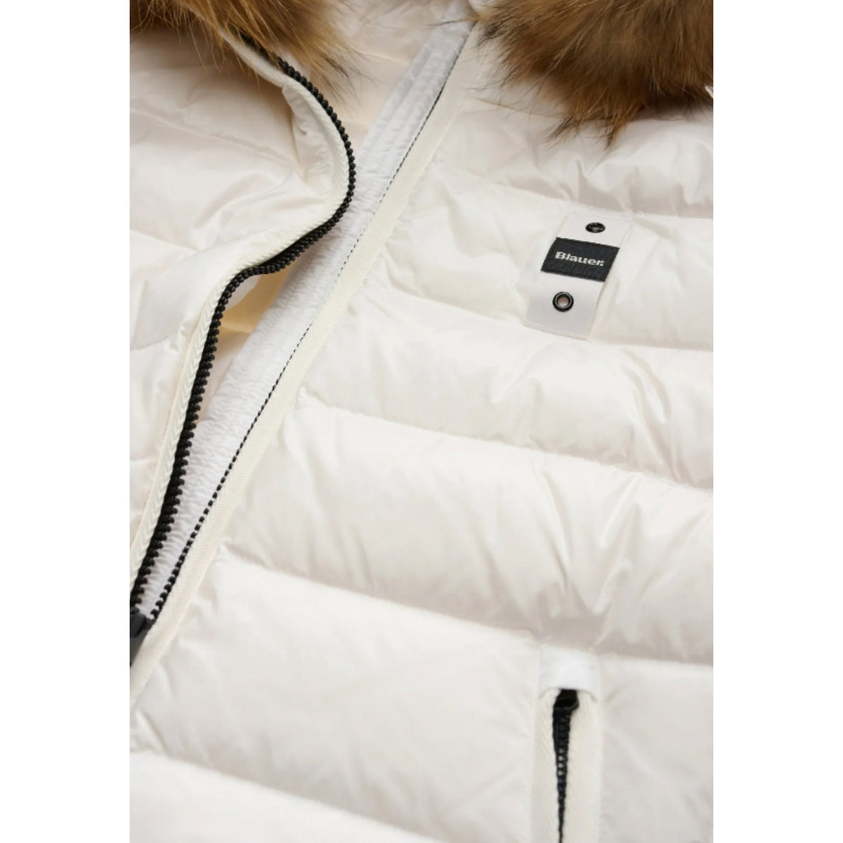 Blauer. Kostümjacke Damen