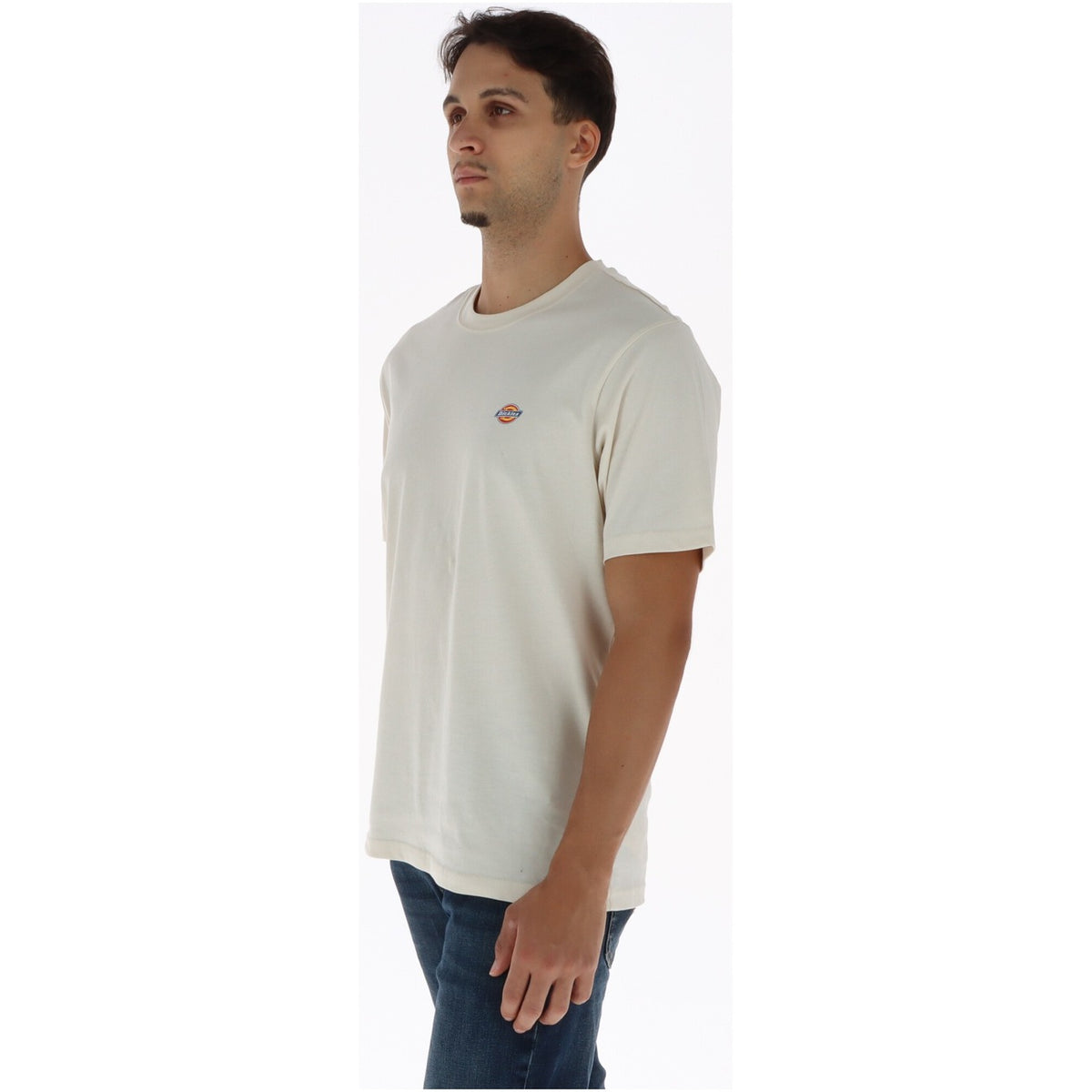 Dickies - T-Shirt Herren