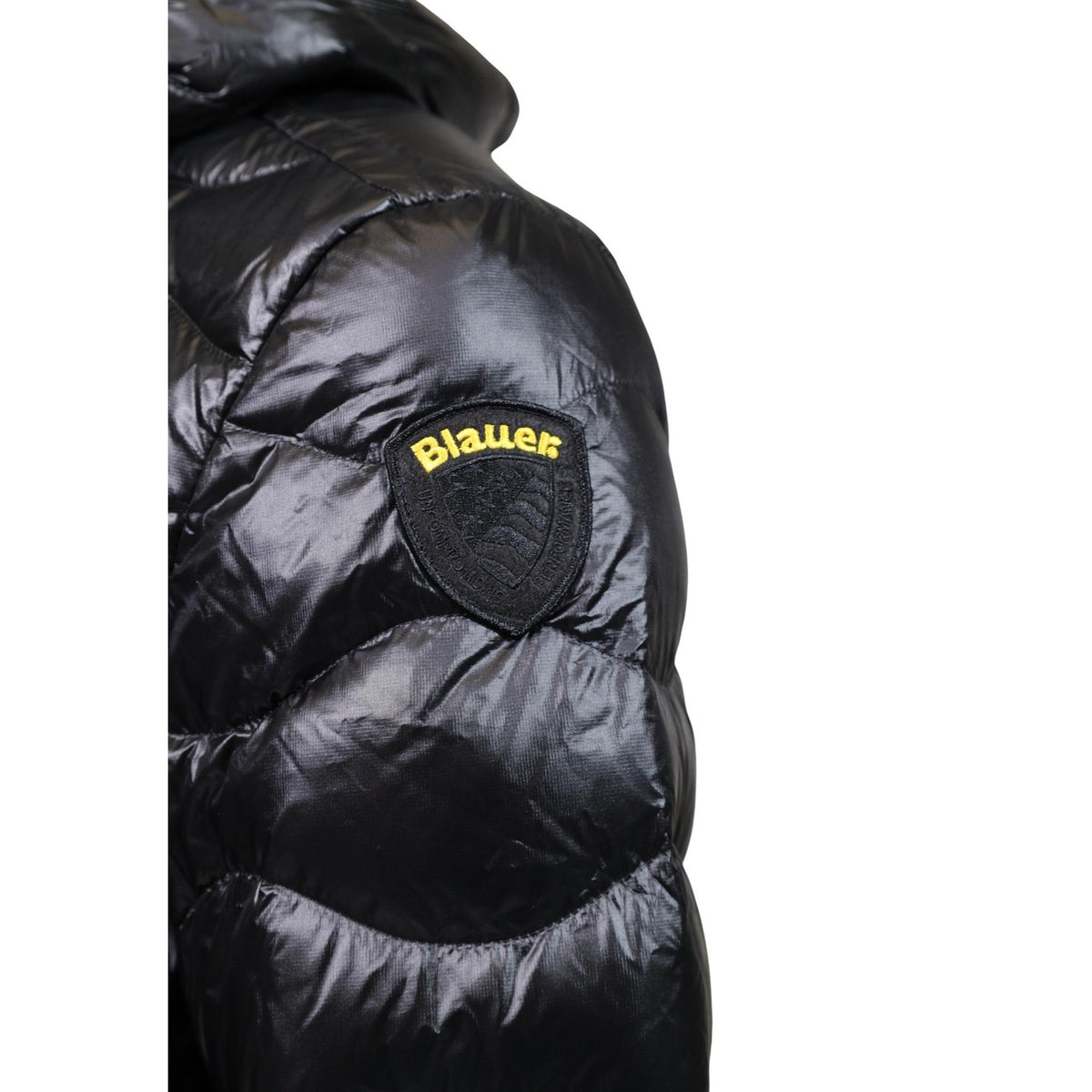 Blauer. - Jacke Herren
