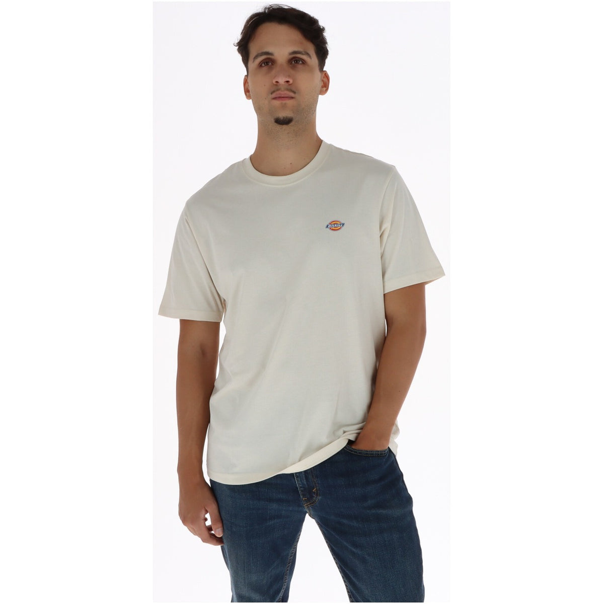 Dickies - T-Shirt Herren